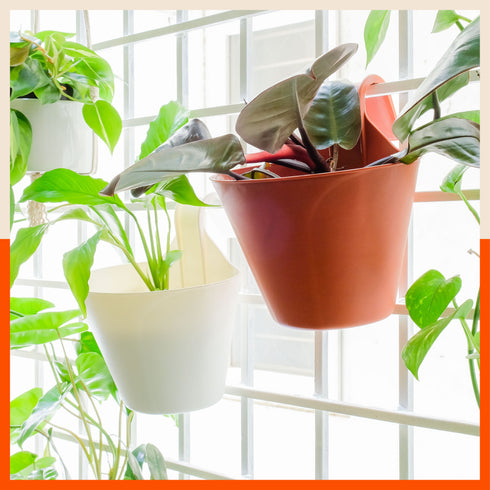 KAI Hanging Oval Planters For Home (Ivory White - Set of 5)